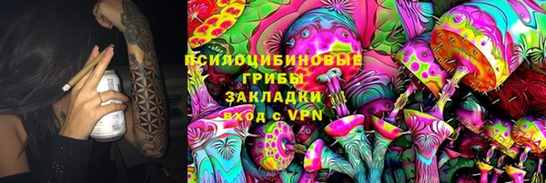 винт Алзамай