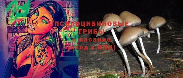 винт Алзамай