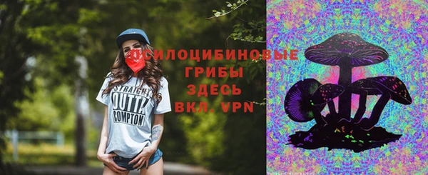 прущие крисы Алексеевка