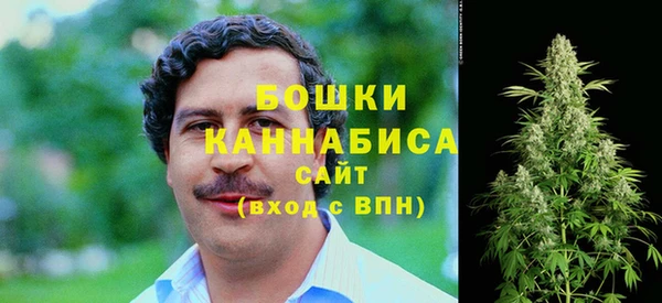 винт Алзамай
